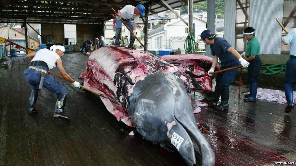 059E768A-247E-4305-B1E8-02E1DB238E3E