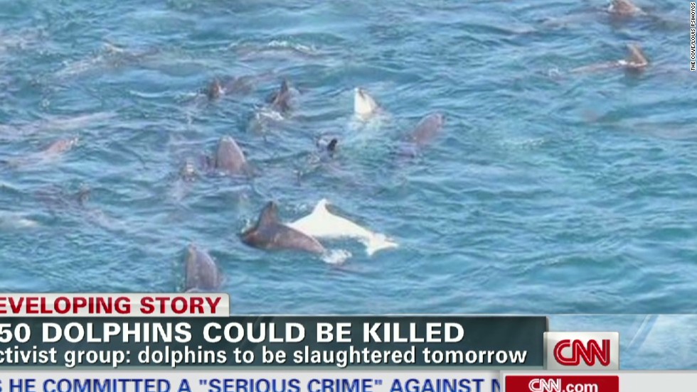 F6C36473-34BA-4409-A91B-03FE350B7F68